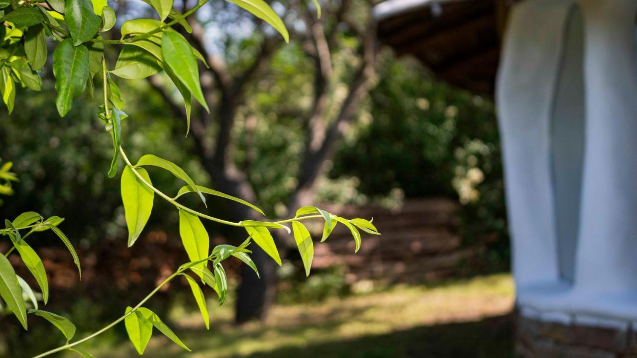 Clay House Banya Villa Banya  Dış mekan fotoğraf